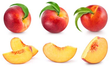 peach fruits collection clipart