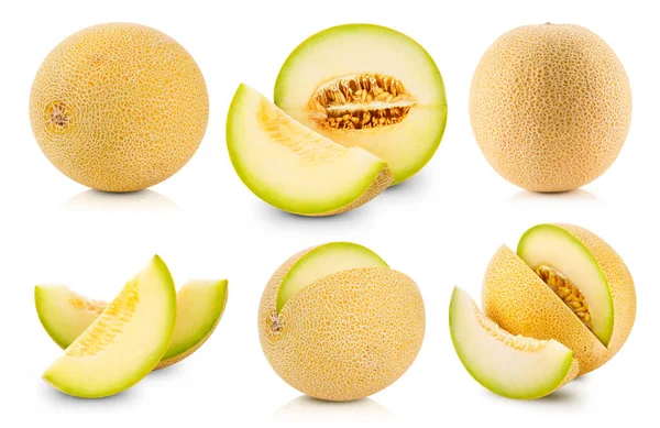 Melon fruits collection — Stock Photo, Image
