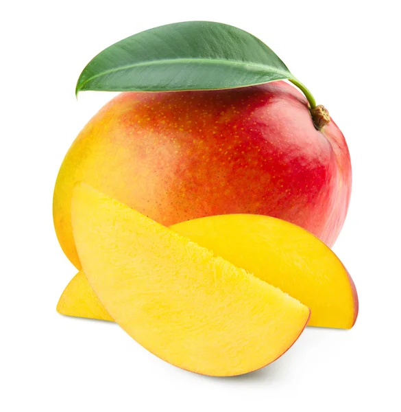 Foglia di mango isolato — Foto Stock