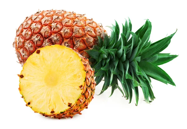 Ananasblatt isolierter Hintergrund — Stockfoto
