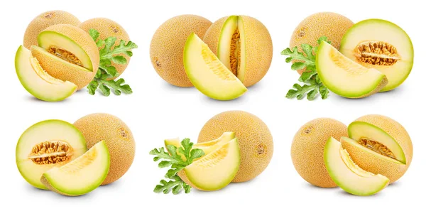 Recolección de frutos de melón — Foto de Stock