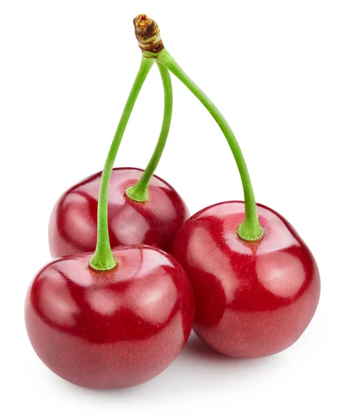 Cherry terisolasi di atas putih — Stok Foto