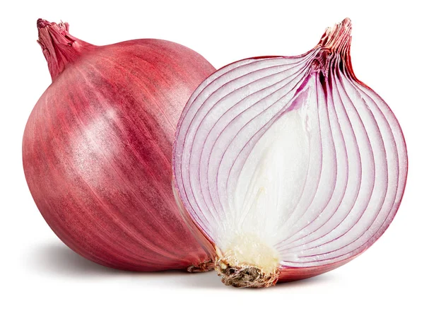 Beyaz üzerinde soğan izole
