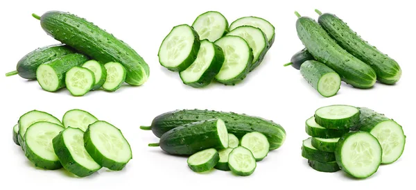 Cucumber collection isolated — Stock Photo, Image