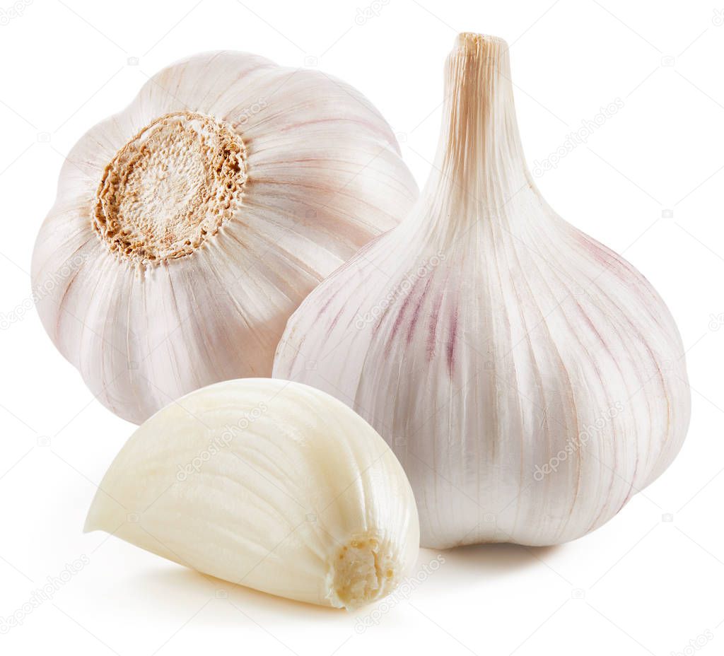 Garlic Isolated on white