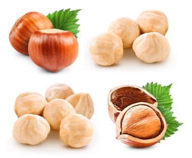 Fındıklar beyaz üzerine izole