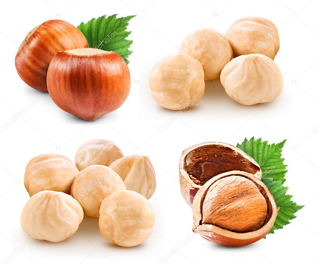 Hazelnuts isolated on white