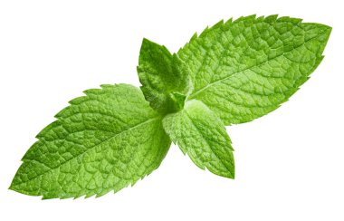 izole nane yaprakları