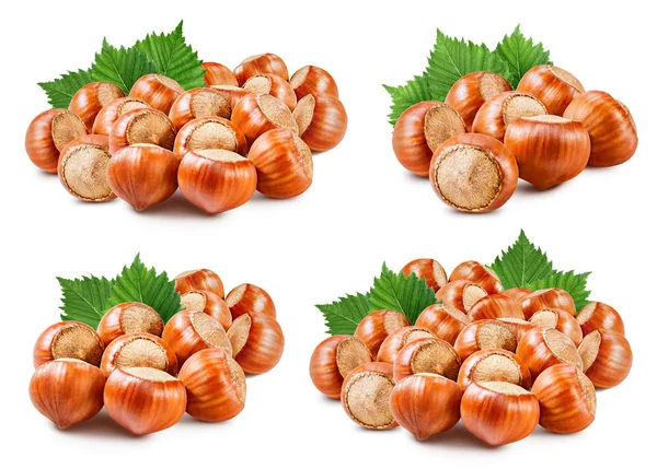 Hazelnuts isolated on white — Stock Photo, Image