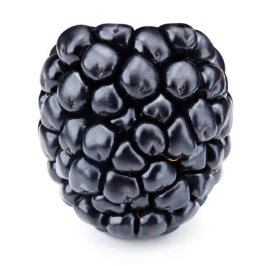 Bembeyaz böğürtlen