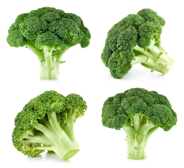 Ruwe broccoli geïsoleerd — Stockfoto