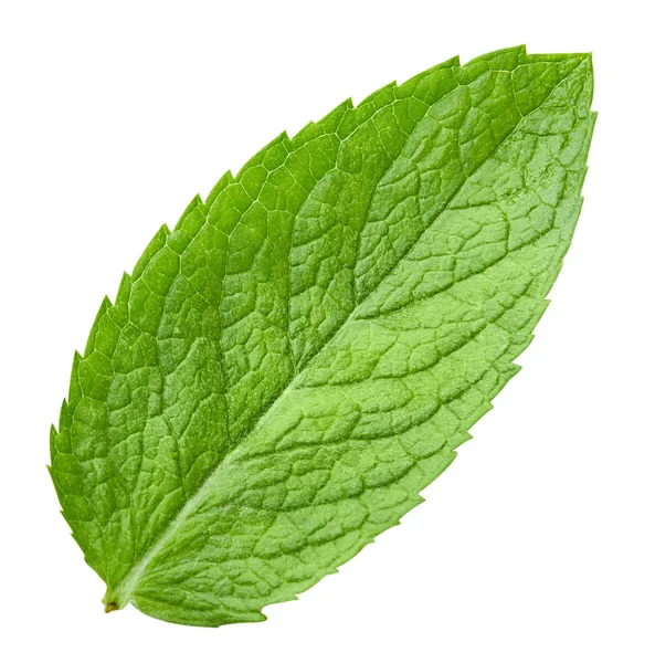 Mint Leaves Isolated White Clipping Path — Stock Photo, Image