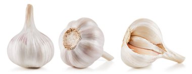 Garlic Isolated on white clipart