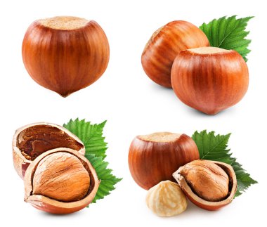 Fındıklar beyaz üzerine izole