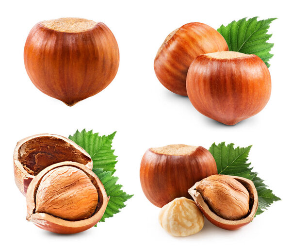 Орехи, изолированные на белом