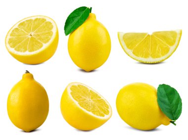 limon meyve yaprak
