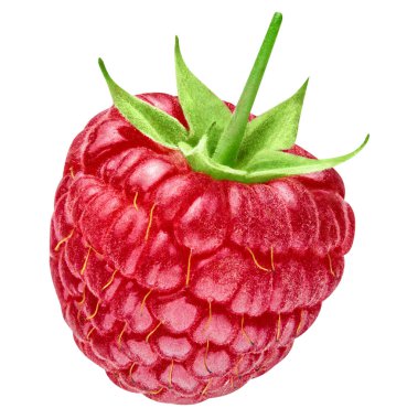 Ahududu beyaz üzerine izole