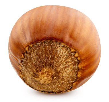 Fındık izole kırpma yolu