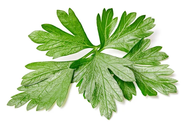 Parsley isolated on white — Stock Photo, Image