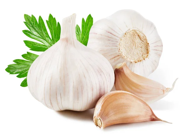 Knoblauch isoliert auf weiß — Stockfoto