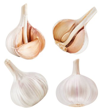 Sarımsak beyaza izole edilmiş