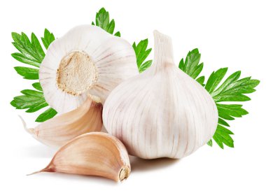 Sarımsak beyaza izole edilmiş