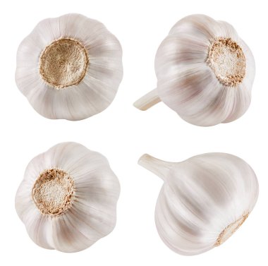 Sarımsak beyaza izole edilmiş