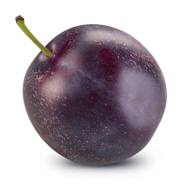 Plum geïsoleerd uitknippad — Stockfoto