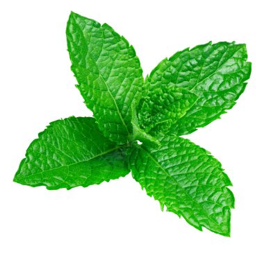 izole nane yaprakları