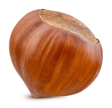 Fındık izole kırpma yolu