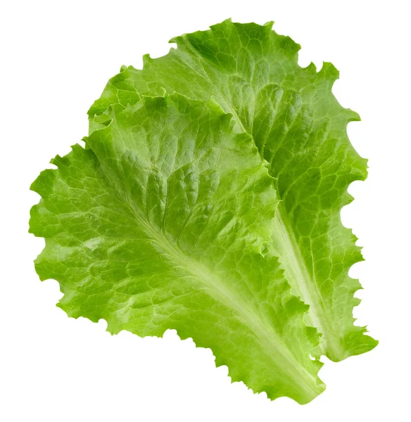 Lettuce leaves Clipping Path — Stock Photo, Image