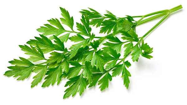 Parsley isolated on white — Stock Photo, Image