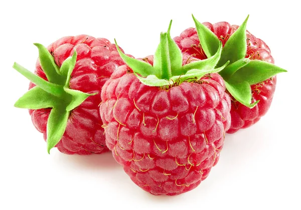 Himbeeren isoliert auf weiß — Stockfoto