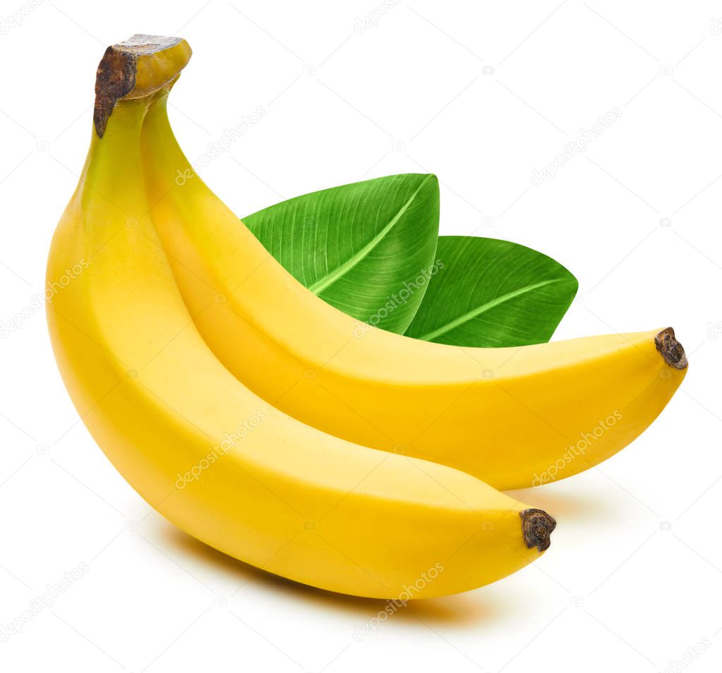 Bunch of bananas isolated