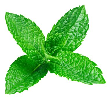 izole nane yaprakları