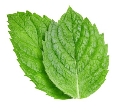 izole nane yaprakları