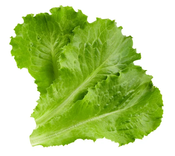 Lettuce leaves Clipping Path — Stock Photo, Image