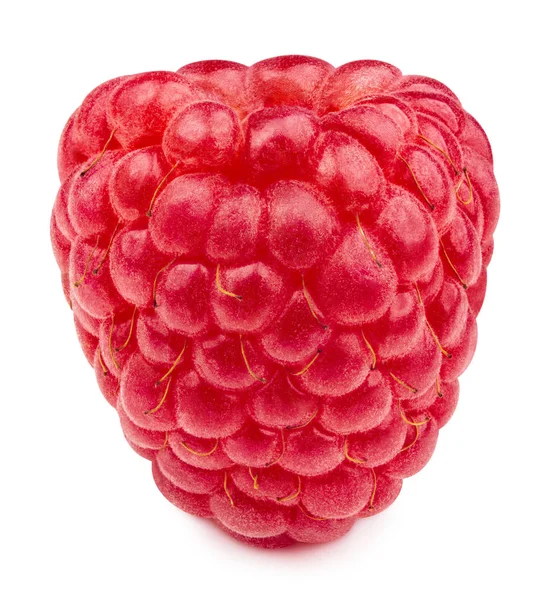 Raspberries isolated on white — Stock Photo, Image