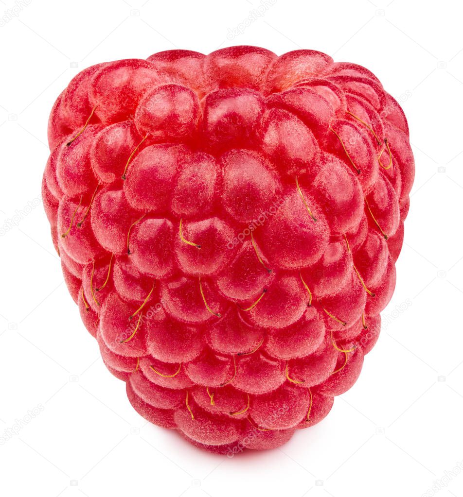 raspberries isolated on white