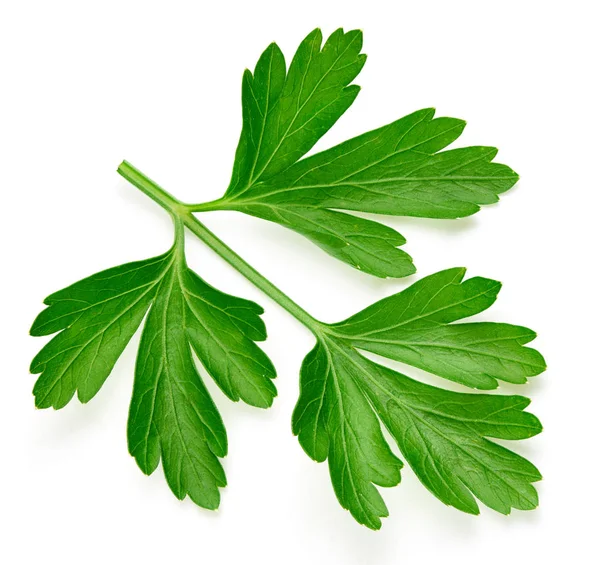 Parsley isolated on white — Stock Photo, Image