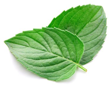 Taze nane izole kırpma yolu