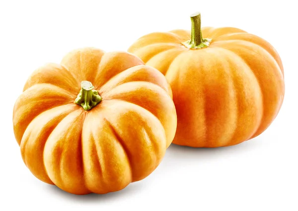 Pumpkins Isolated on white — Stock Photo, Image