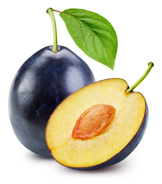 Plum geïsoleerd op wit — Stockfoto