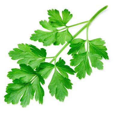 Maydanoz beyazda izole