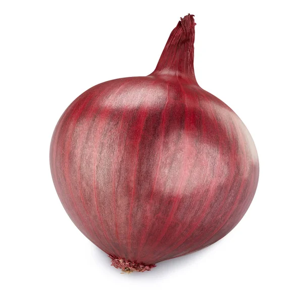 Onion Isolated on white — Stock Photo, Image