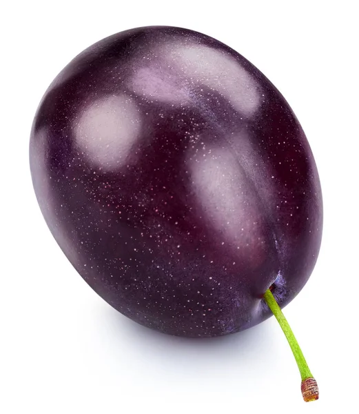 Plum geïsoleerd op wit — Stockfoto