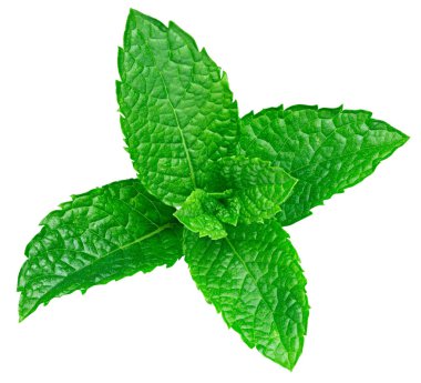 izole nane yaprakları