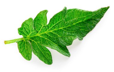 Domates izole bırakır