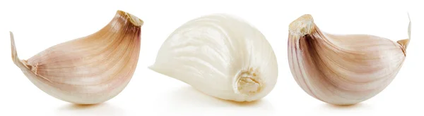 Σκόρδο απομονωμένο σε λευκό — Φωτογραφία Αρχείου