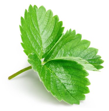 çilek yaprağı üzerinde beyaz izole